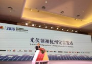 【光伏領(lǐng)袖杭州宣言】承諾2020年前實現(xiàn)用戶側(cè)平價上網(wǎng)