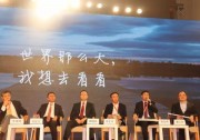 光伏十年守望者：要未來能源，不要“蜂窩煤”！