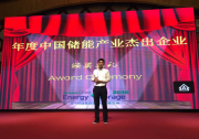 固德威榮膺2016年"最佳儲(chǔ)能逆變器供應(yīng)商"與"最佳組串式逆變器供應(yīng)商"
