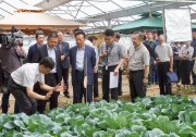 全國人大副委員長、民建中央主席陳昌智到天合光能考察調(diào)研