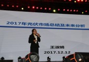 家用式光伏市場(chǎng)的總結(jié)與展望