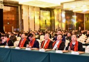 800+光伏精英齊聚2017中國光伏行業(yè)年會(huì) 共謀光伏新發(fā)展