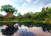迪士尼世界建50MW太陽(yáng)能系統(tǒng)為兩個(gè)主題公園提供清潔能源