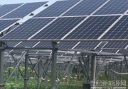 國務院扶貧辦：光伏扶貧切忌一哄而上，一光了之