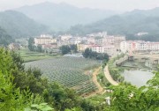光伏扶貧，我們做了力所能及之事