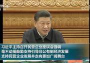習近平主持召開民營企業(yè)座談會，通威、正泰、隆基、特變等領導代表光伏企業(yè)出席
