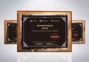 陽(yáng)光浮體創(chuàng)新漂浮電站設(shè)計(jì)，助力平價(jià)上網(wǎng)