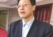 兩會聚焦| 武鋼：關(guān)注外部性價值，重估可再生能源價格，完善發(fā)展規(guī)劃及政策