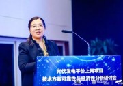 【光伏視點(diǎn)】李瓊慧：2020年我國太陽能發(fā)電裝機(jī)將達(dá)2.6億千瓦