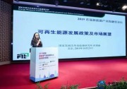時璟麗：平價時代的光伏政策思路和預(yù)判