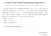 4.38億光伏補(bǔ)貼下發(fā)！合肥2018年度光伏電站資金補(bǔ)貼公示