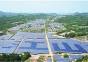 光伏加“樹”度 | 正泰新能源為地球年“植樹”270萬棵