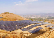 隆基攜手廣州發(fā)展新能源，打造98MW Hi-MO 4地面電站及工商業(yè)電站