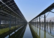 正信光電10GW高效組件項(xiàng)目開(kāi)工建設(shè)