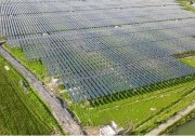 1167萬千瓦！山東新能源新增發(fā)電裝機(jī)2020年首破千萬千瓦