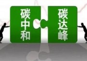 深度 | “雙碳”目標(biāo)如何盡快落地？天合光能先一步給出“參考答案”