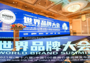 172名！晶科能源榮登2021年《中國(guó)500最具價(jià)值品牌》榜單