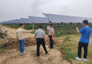 度電必爭！英利云鷹力保光伏電站安全穩(wěn)定迎峰度夏