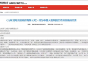 喜訊！潤(rùn)馬光能成為大唐集團(tuán)正式供應(yīng)商