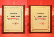 愛(ài)士惟斬獲“影響力光儲(chǔ)融合解決方案企業(yè)”等兩項(xiàng)大獎(jiǎng)