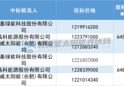 最高1.888元/W！華能1.3GW組件集采中標人公示