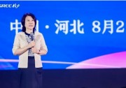 董明珠：格力成功研發(fā) “零電費(fèi)” 光伏空調(diào)！