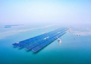 點(diǎn)海成“金”，華為助力全球最大的開放式海上光伏項(xiàng)目成功并網(wǎng)